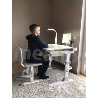 Детский комплект парта и стульчик Evo-kids Evo-19 (с лампой)